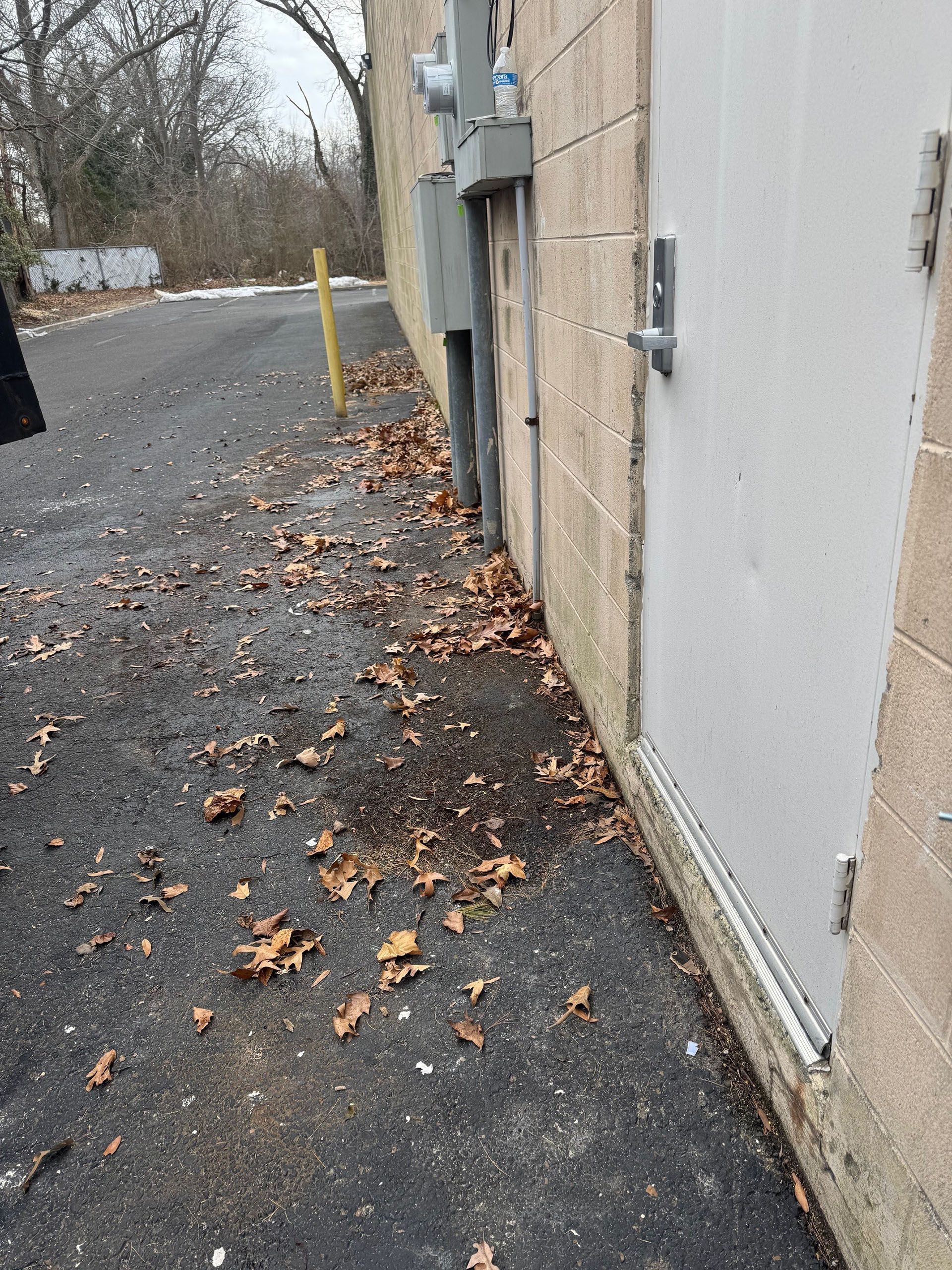 A sidewalk with leaves on it next to a building.
