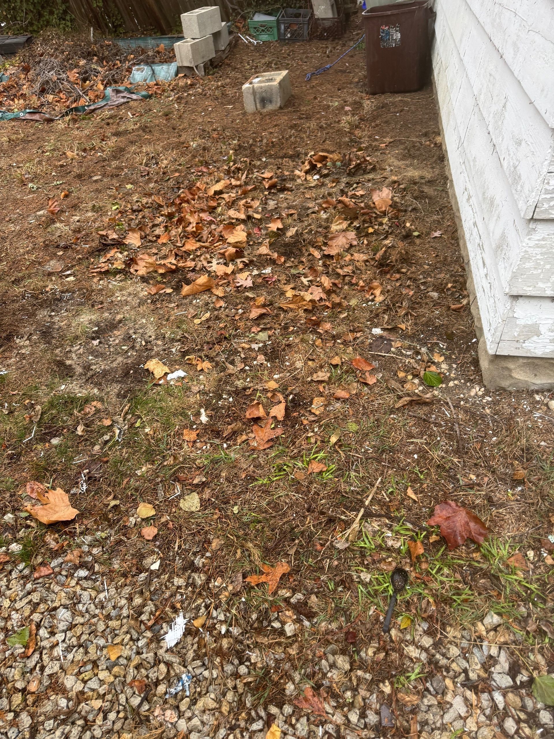 A pile of leaves on the ground next to a house.