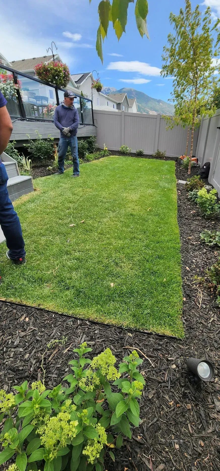 A man is standing in the middle of a lush green lawn.