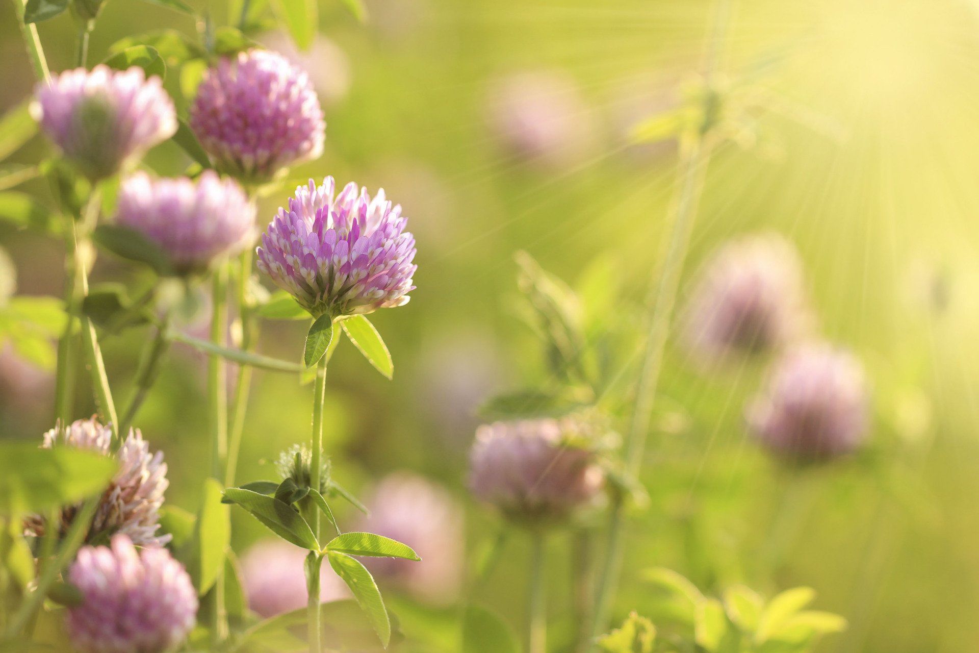 Learn More About Dentures Dentures