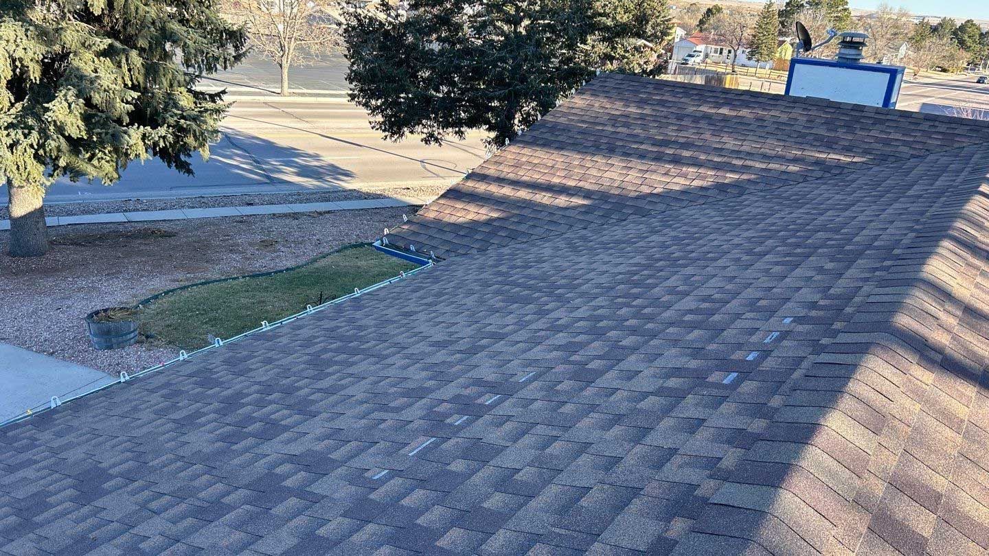 A close up of a roof with a tree in the background.