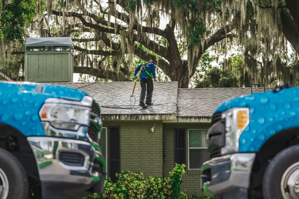 Blue trucks parked near house while worker cleans roof with green canopy and trees overhead.