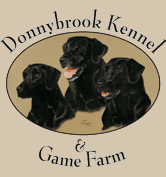 Donnybrook Kennel And Inn - logo