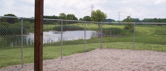 Pond and playground
