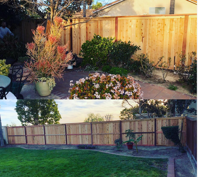 A backyard with a wooden fence and flowers