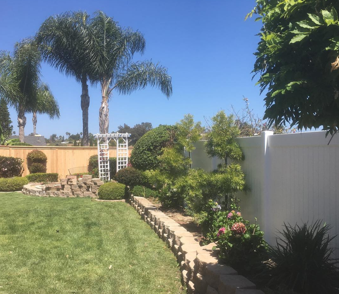 A backyard with a white fence and palm trees