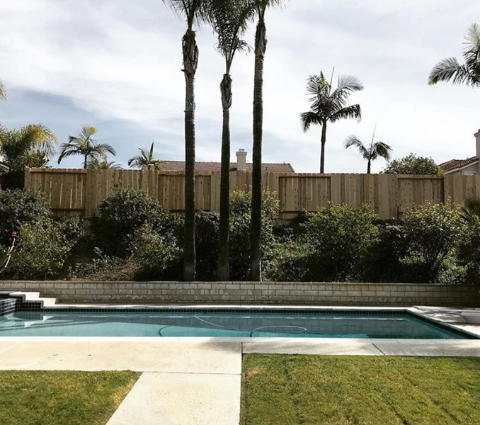 A large swimming pool with palm trees in the background