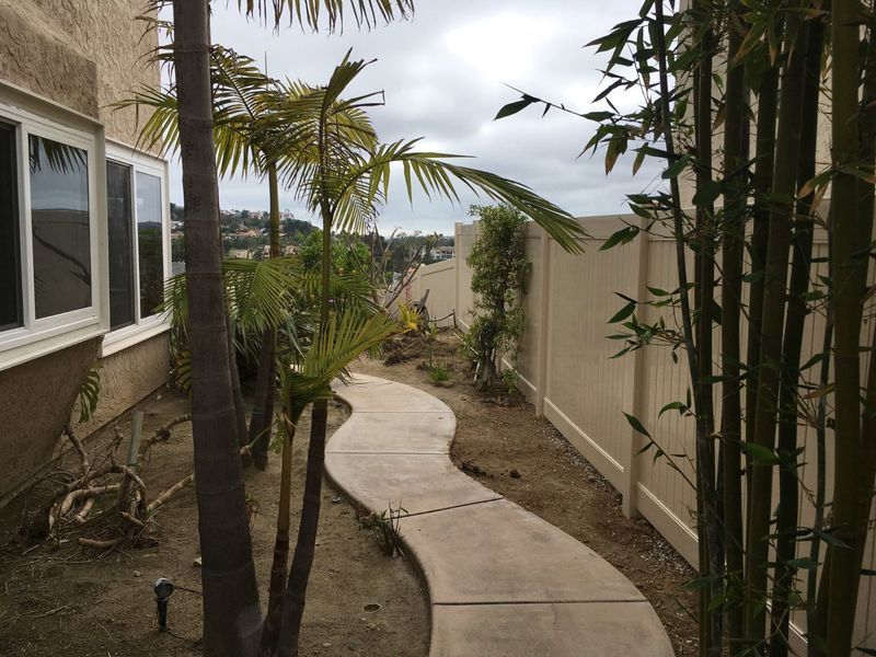 A concrete walkway surrounded by palm trees and a fence