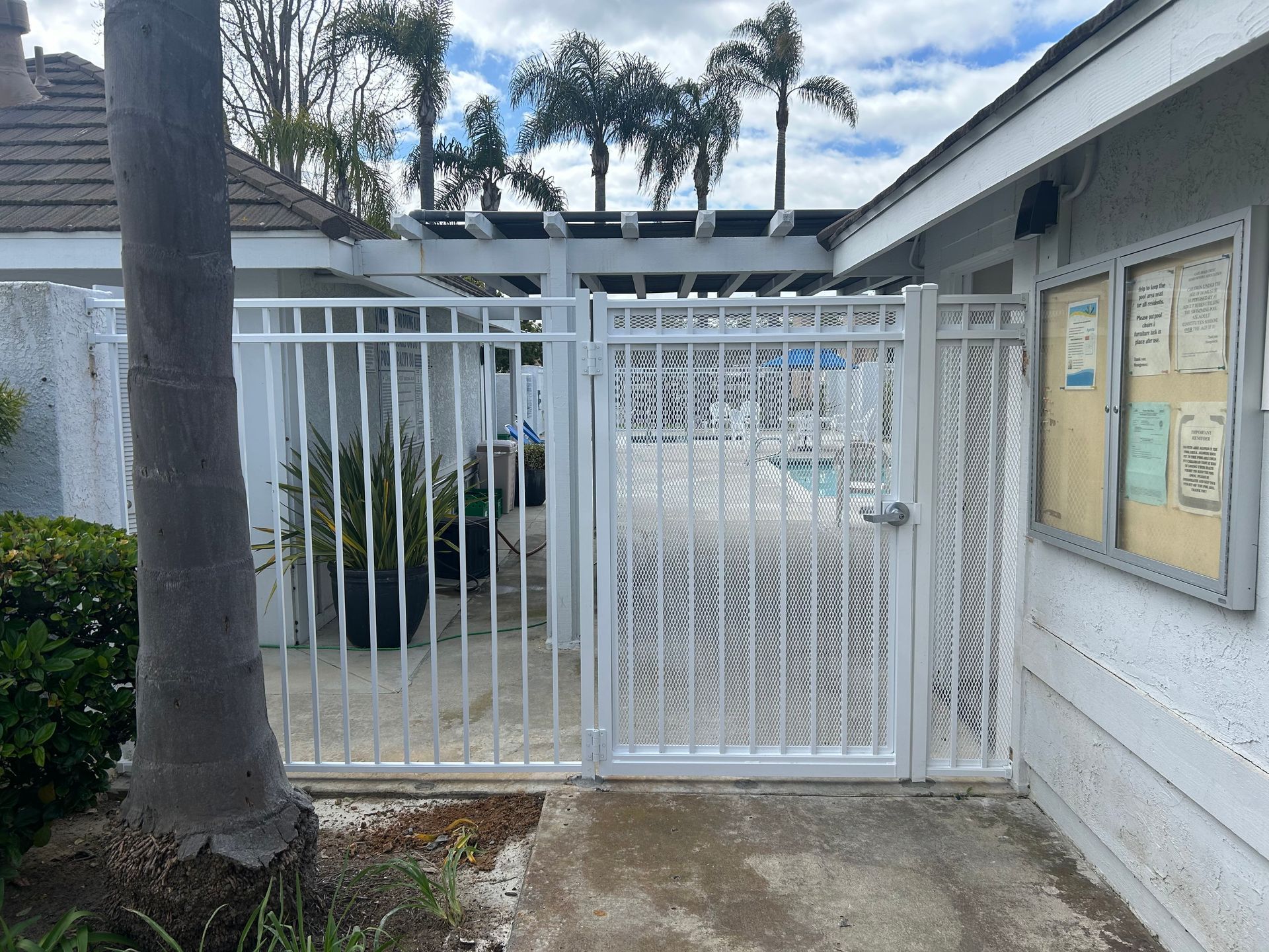 A white gate leading to a swimming pool with palm trees in the background.