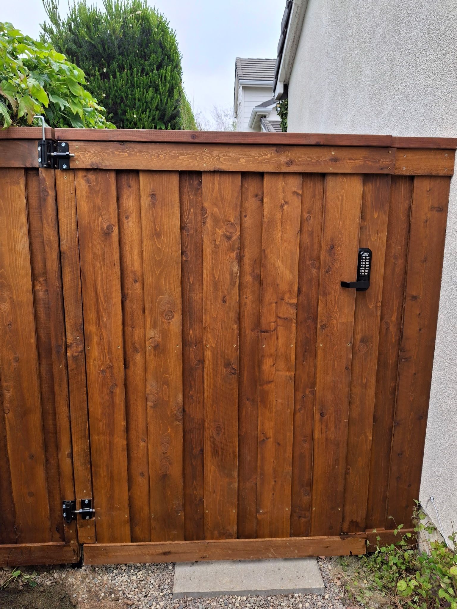 Closed wooden garden gate with black latch beside a white wall and greenery