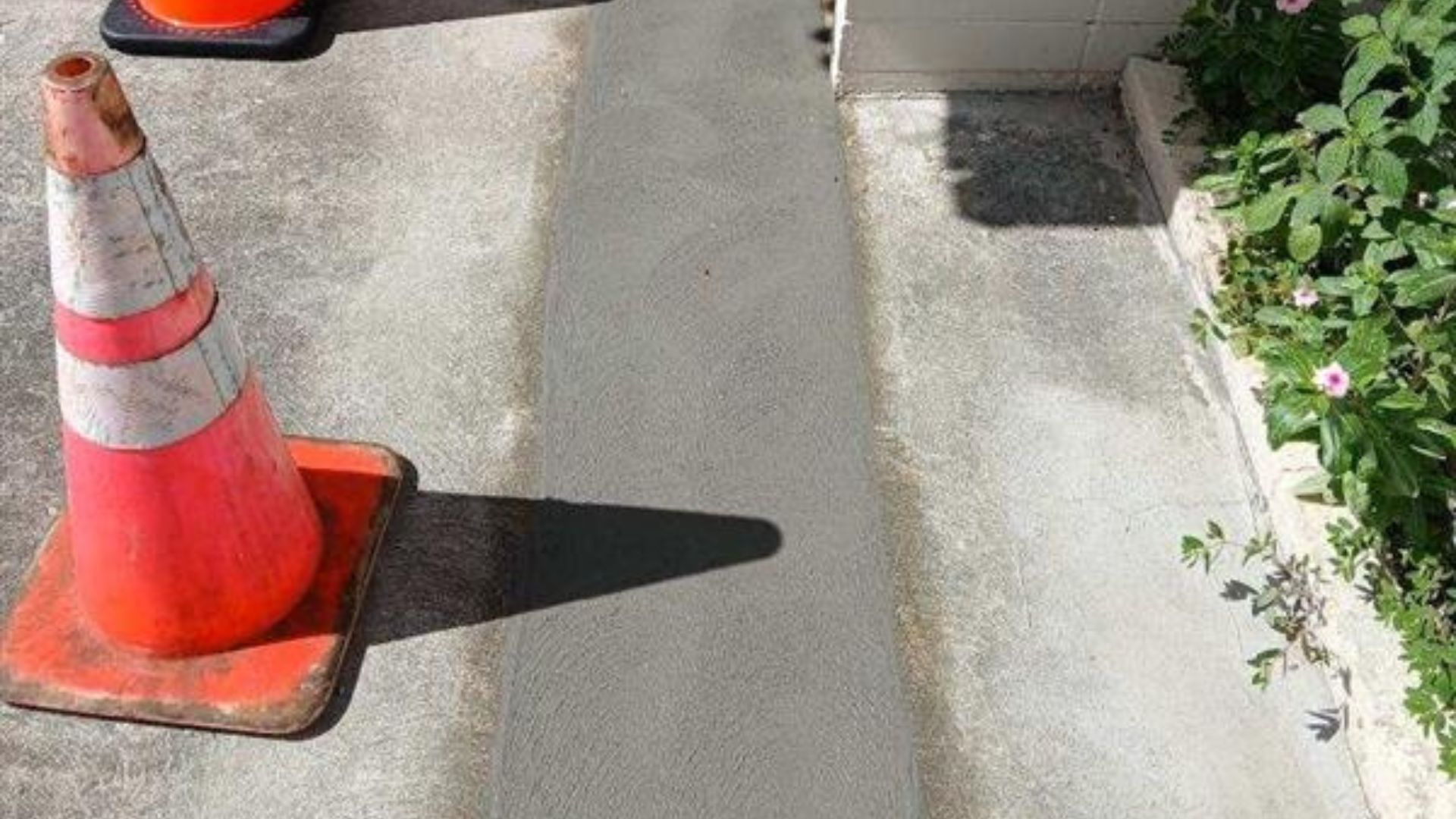 Orange traffic cones on a concrete sidewalk beside a curb and plants.