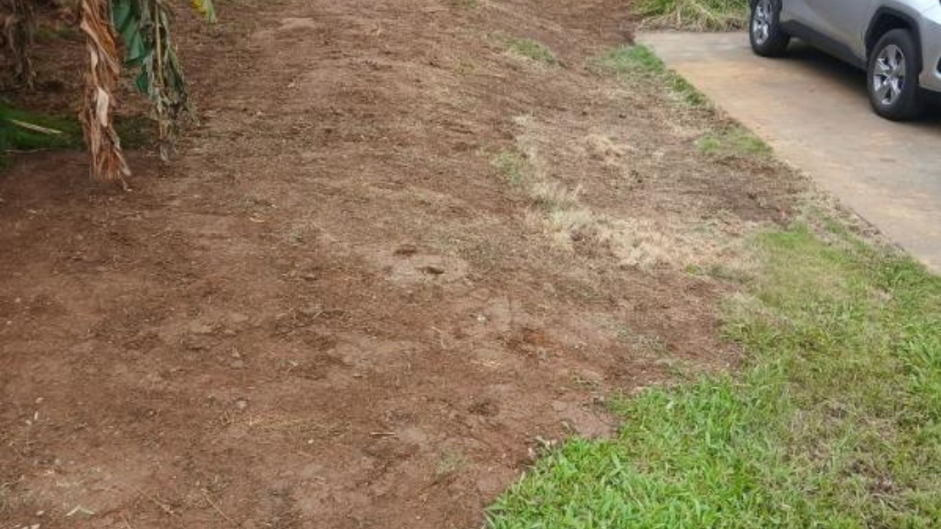 Bare dirt patch beside a driveway, with grass on one edge and part of a parked car visible.