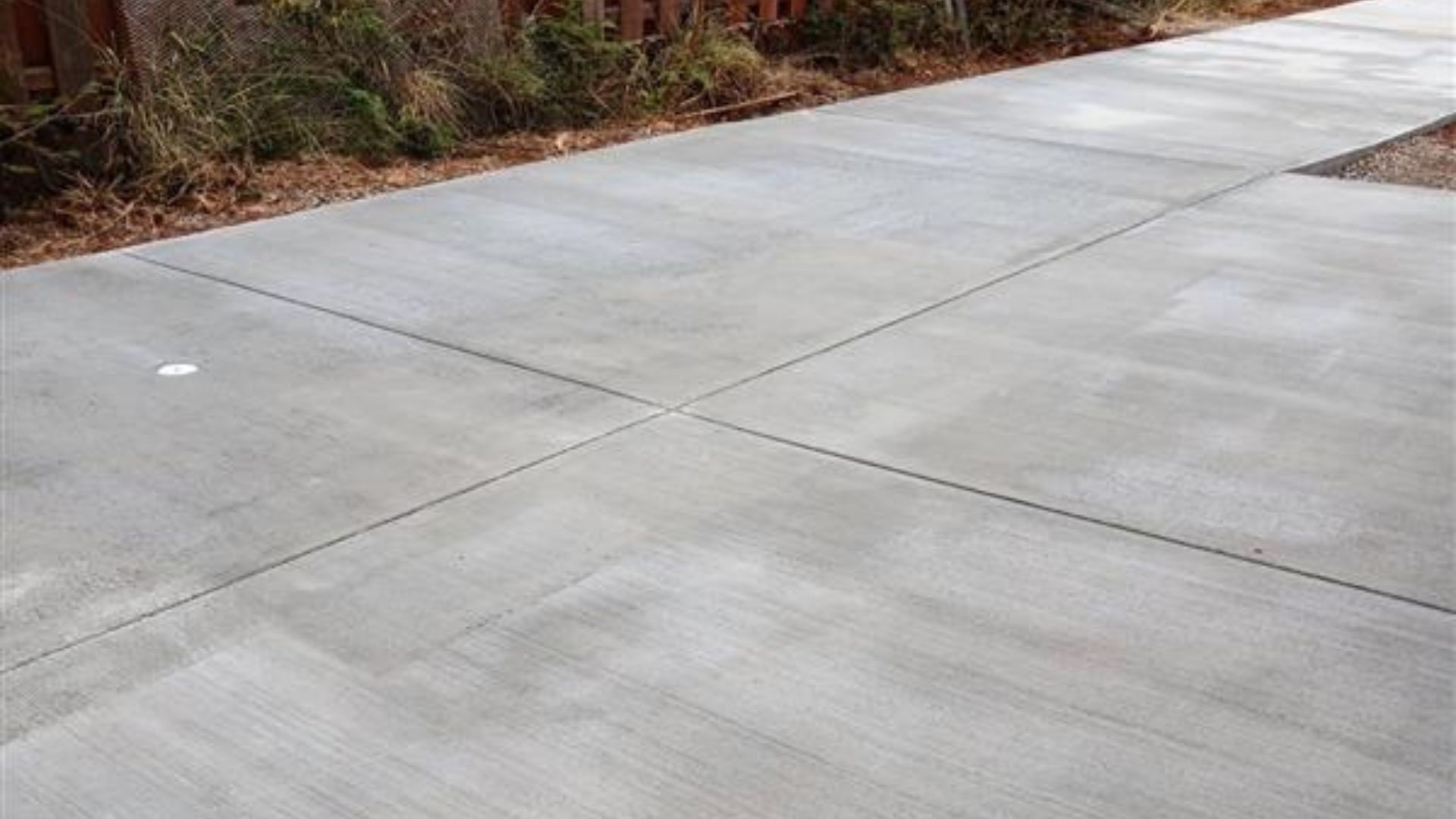 Empty concrete driveway beside landscaped shrubs and trees