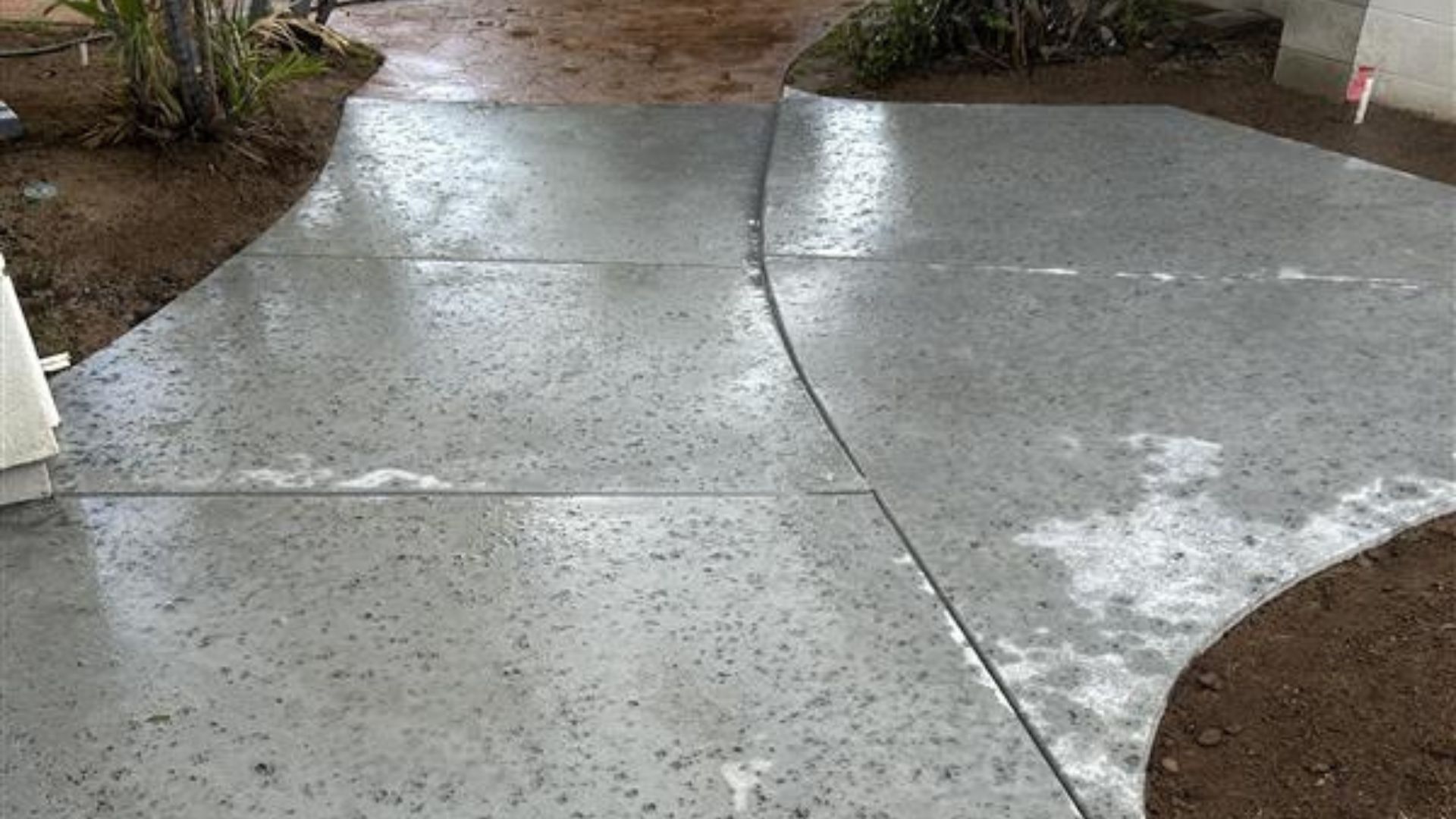 Wet concrete walkway with fresh cement panels after rain, bordered by dirt and shrubs