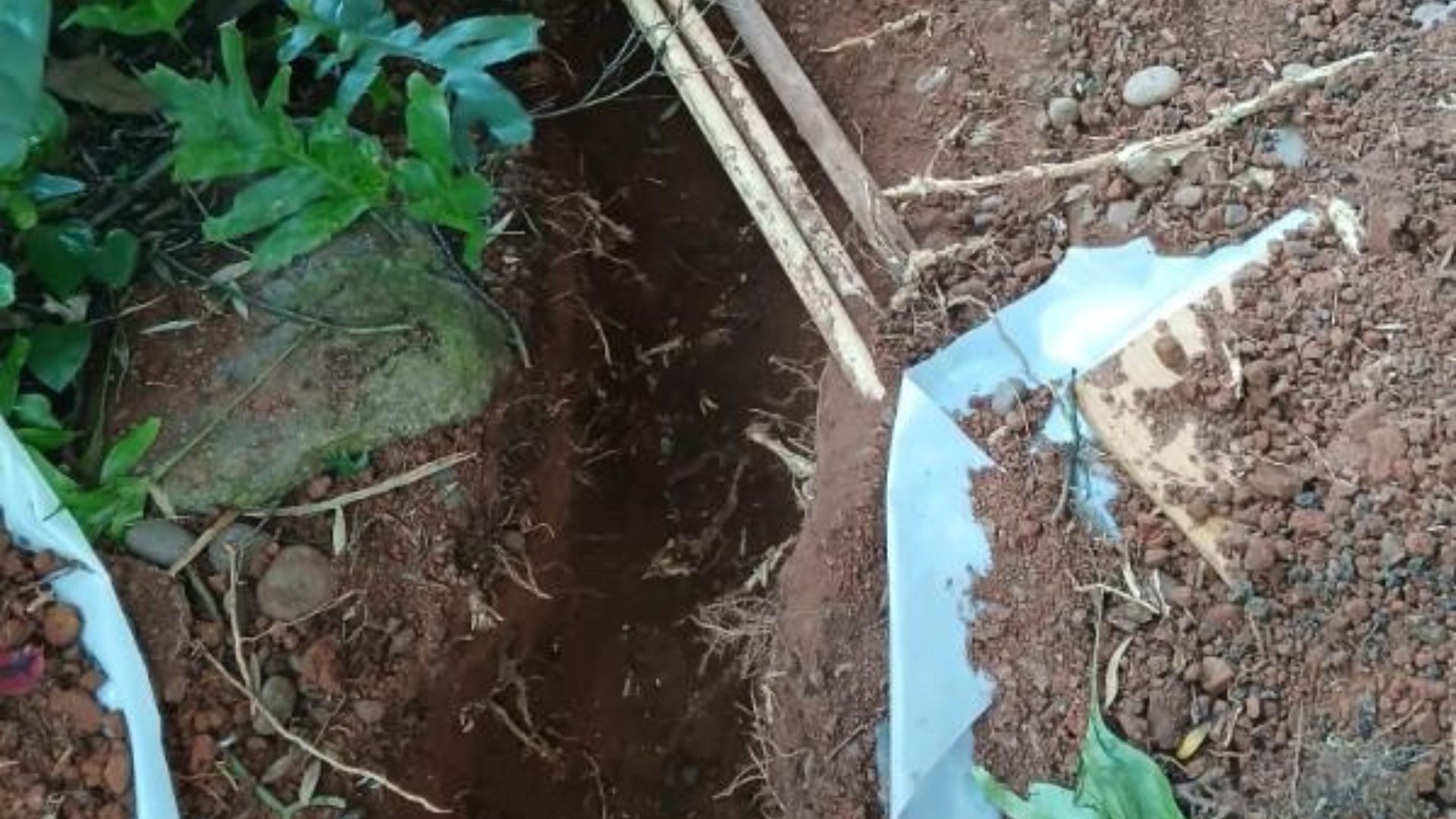 Narrow muddy trench between soil and broken white plastic edging in a garden bed