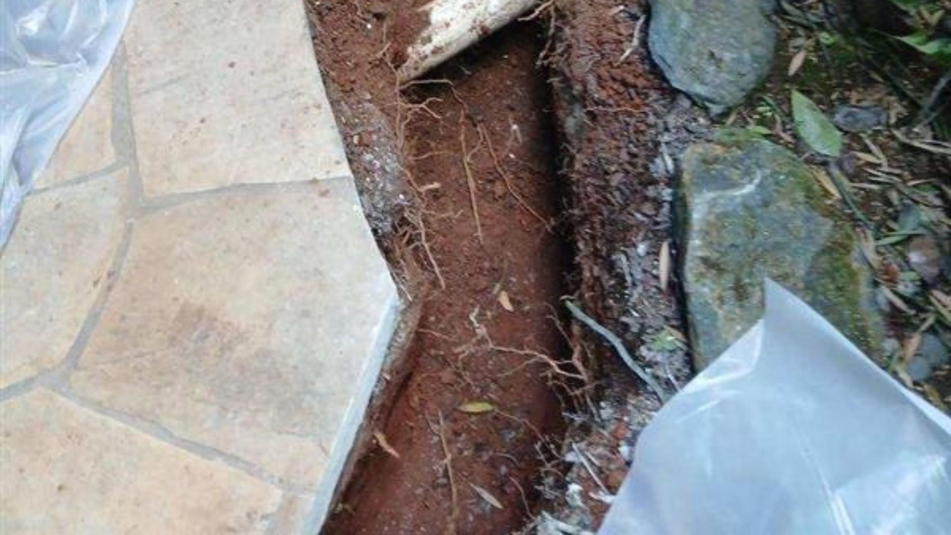 Broken paving beside a garden path, exposing red soil, roots, and debris next to a plastic bag.