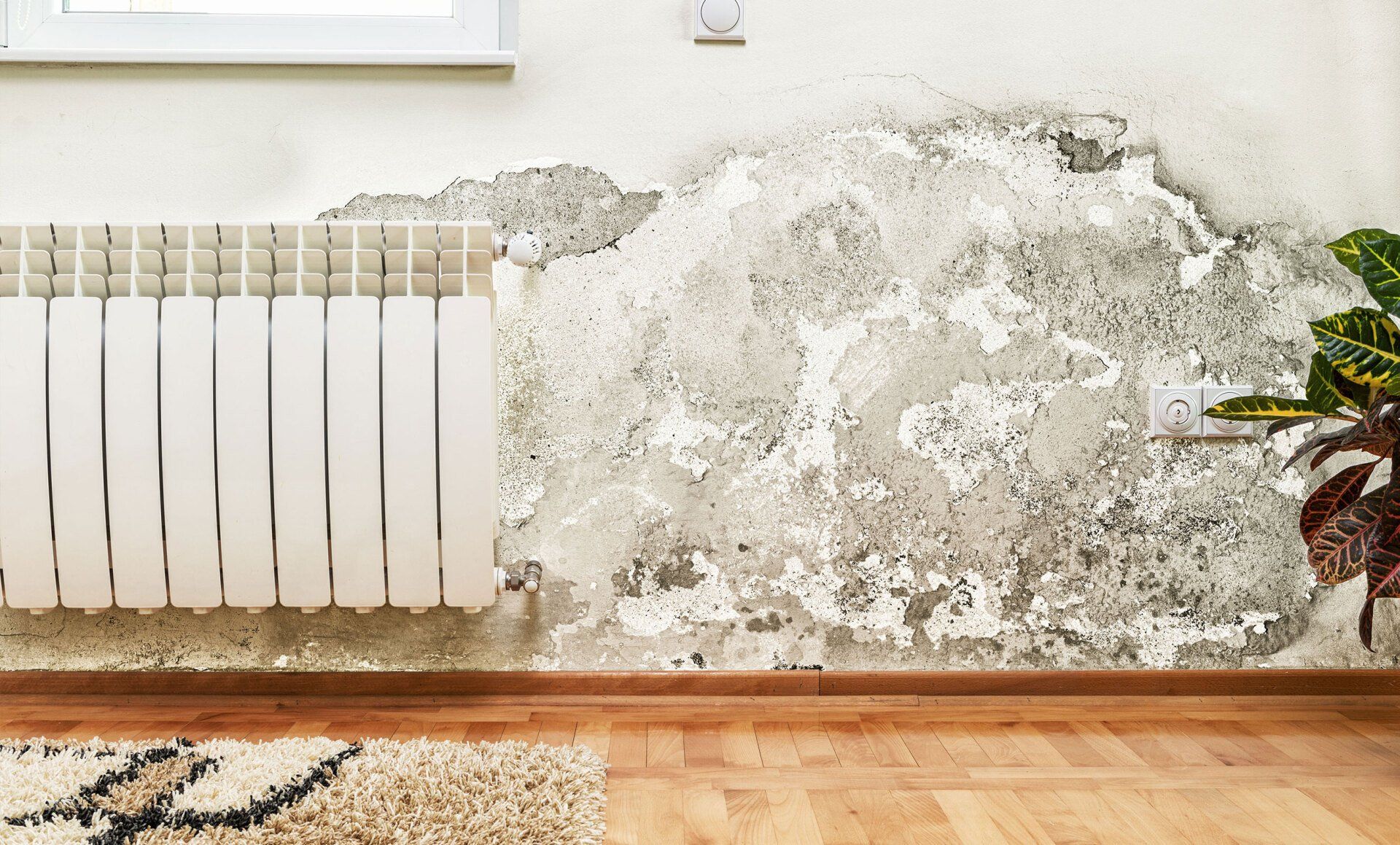 Environmental Testing