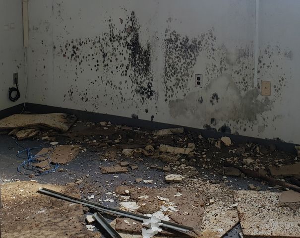 A room with a lot of molds on the walls.