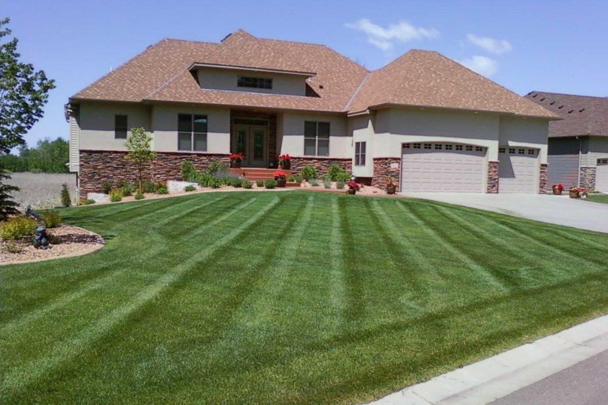 Newly mowed lawn