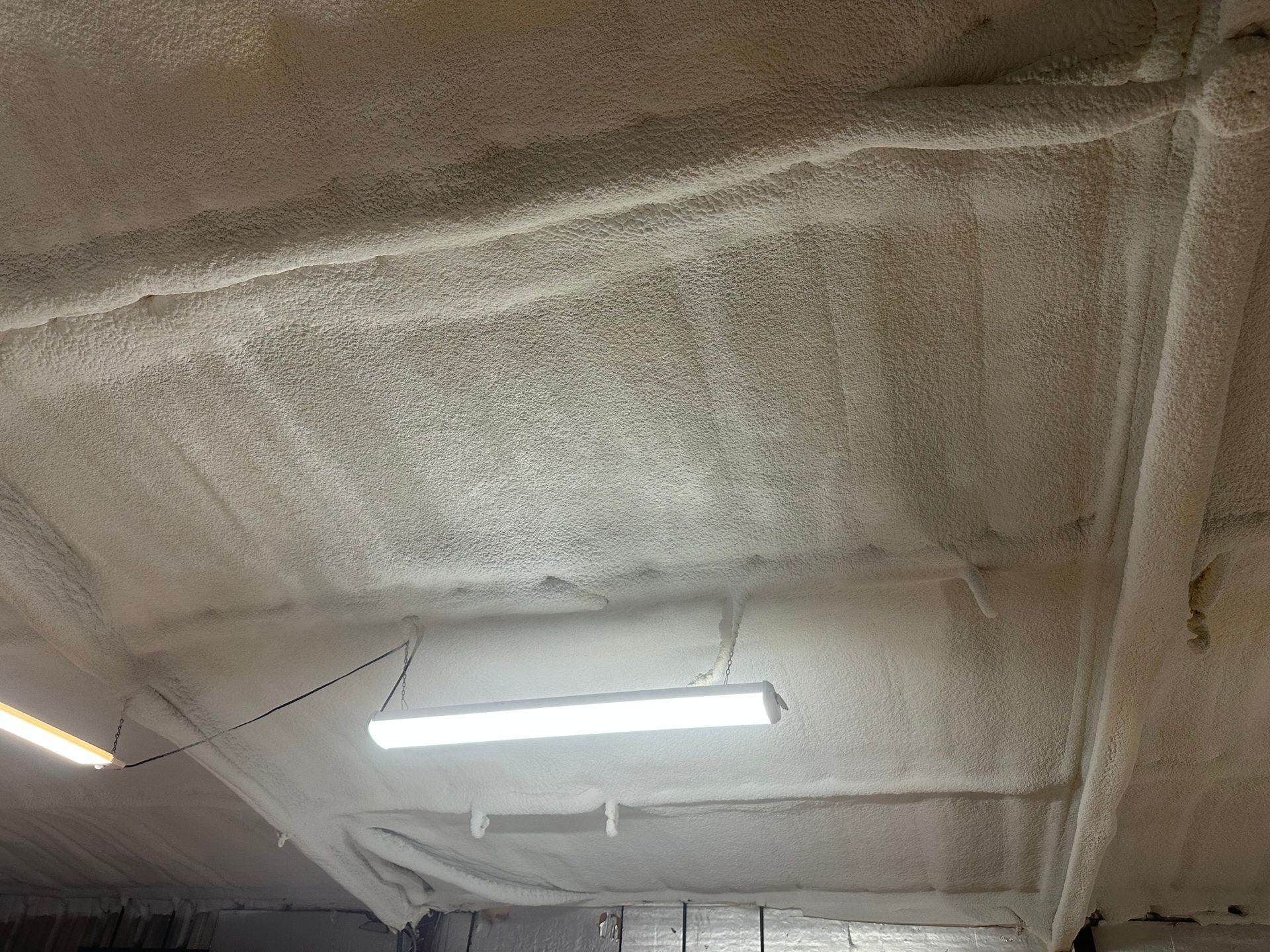 White insulation on a ceiling with a fluorescent light fixture hanging below.