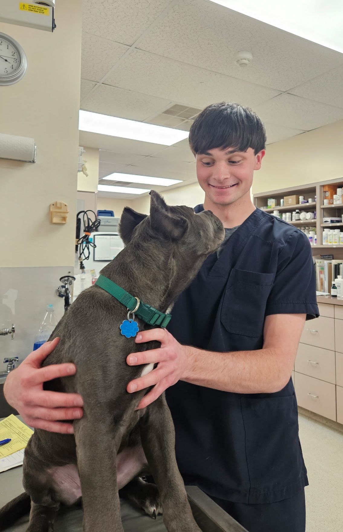 Woman in medical scrubs holding a small dog on an X-ray table, both smiling, in a vet's office.