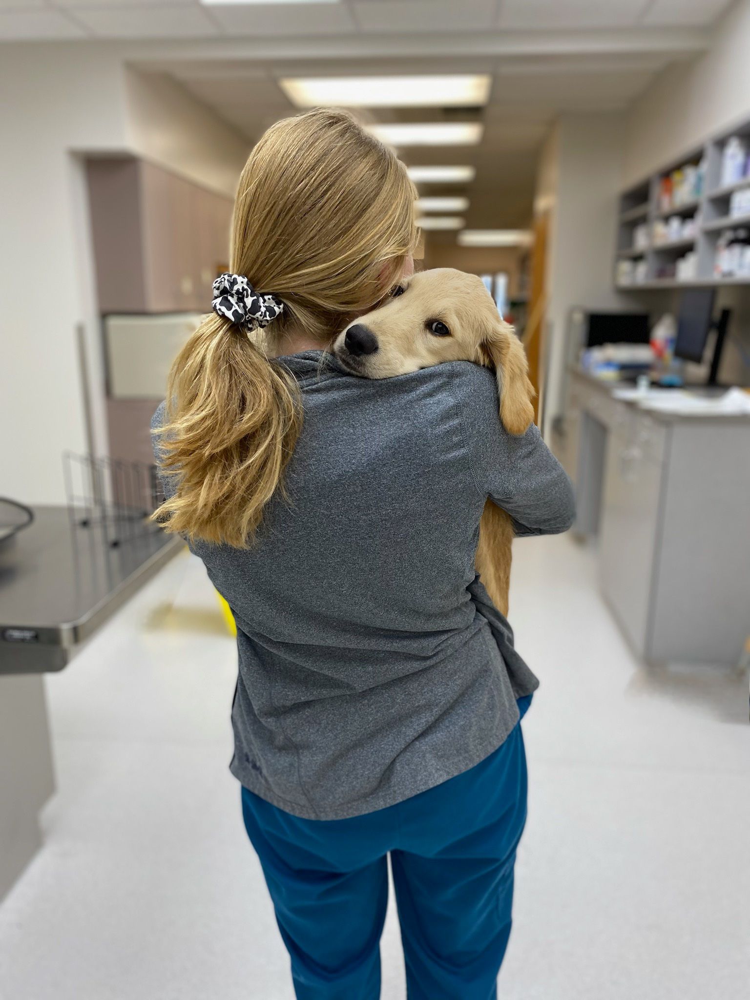 A woman holding a golden retriever puppy in a vet clinic hallway.