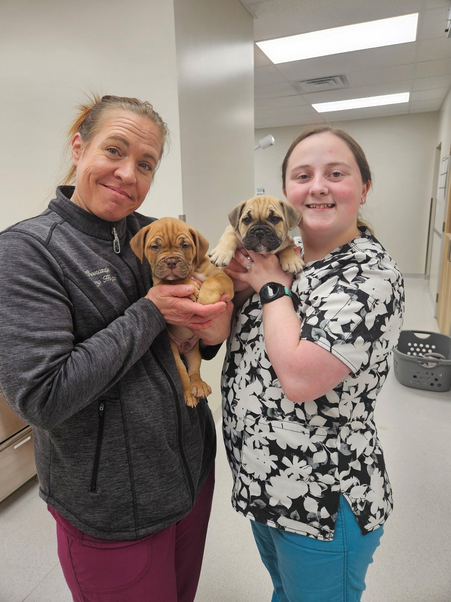 Two people holding two puppies inside a building. One person wears a gray jacket, the other a patterned shirt.