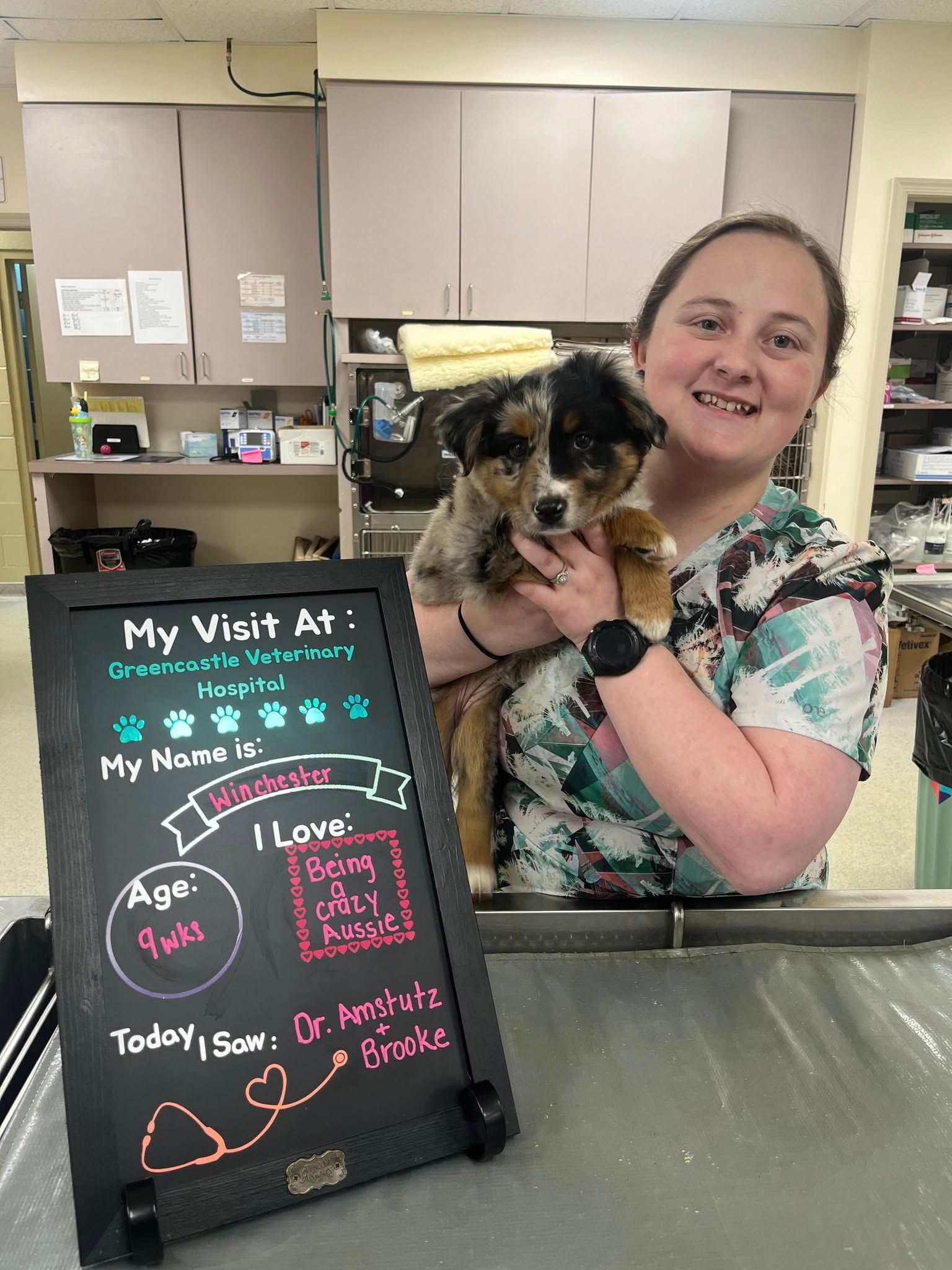 Woman holding a puppy at a vet's office. A chalkboard lists the puppy's details: age, favorite things, and vet.