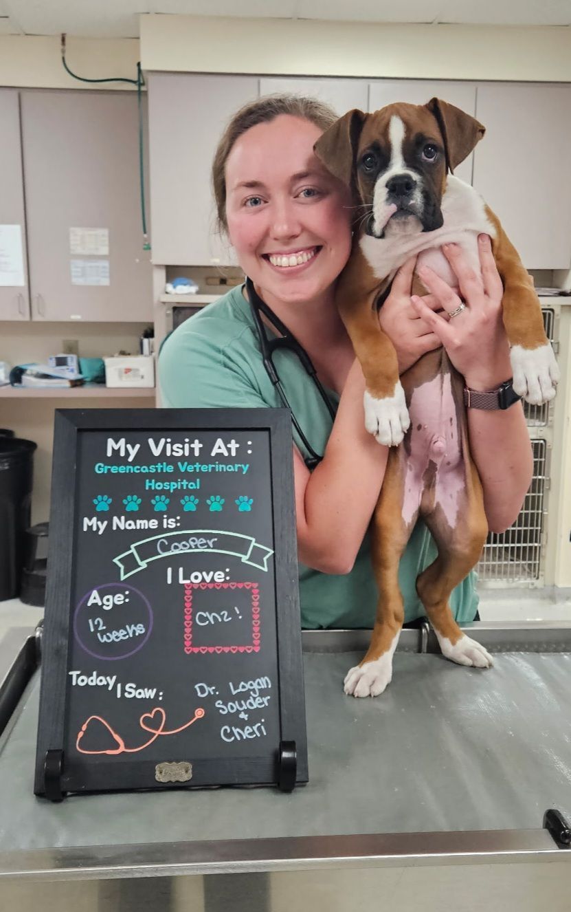 Veterinarian holding boxer puppy, smiling at camera. Chalkboard sign, exam room setting.