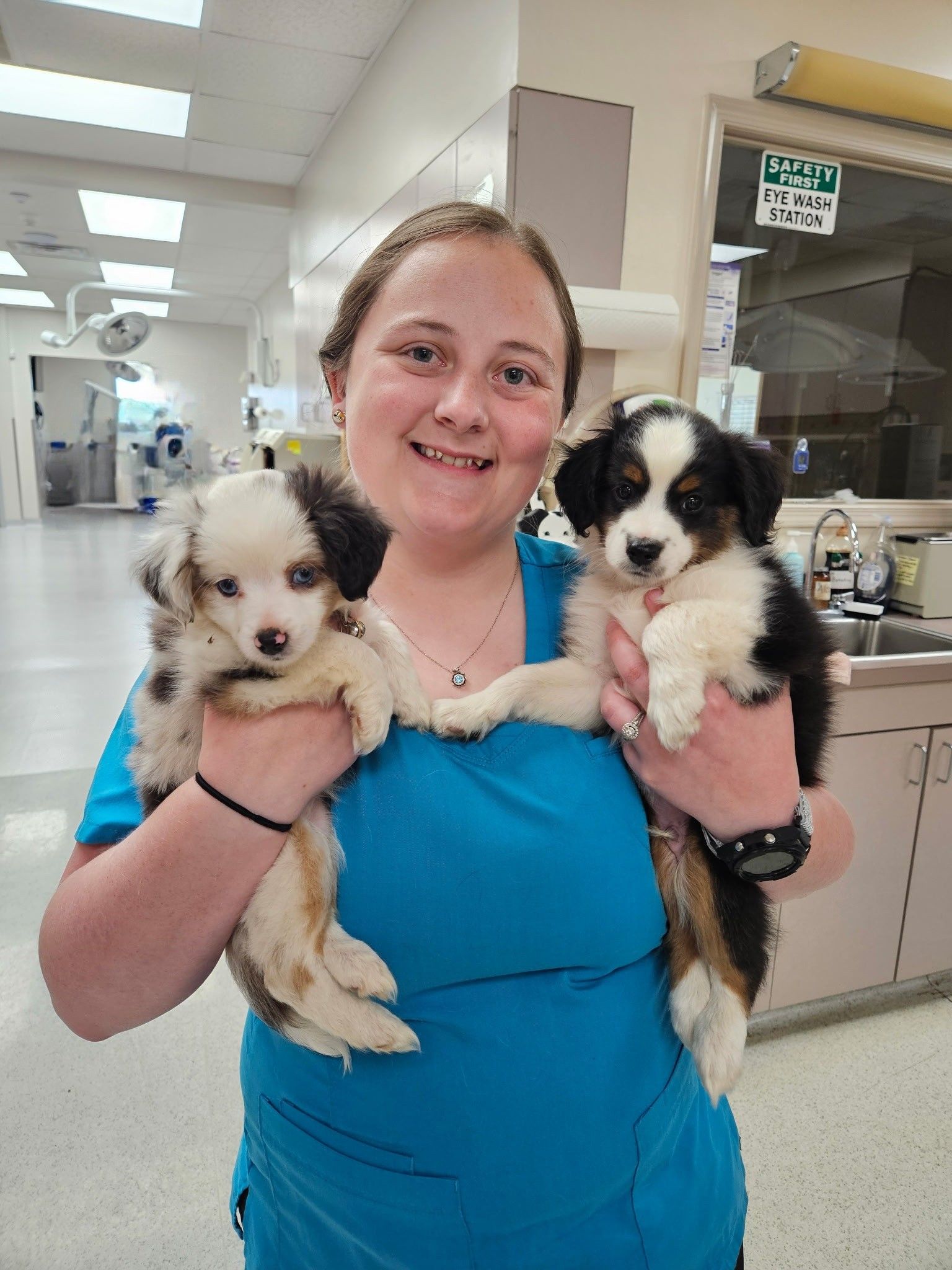 Woman in blue shirt holds two small puppies in a veterinary clinic.