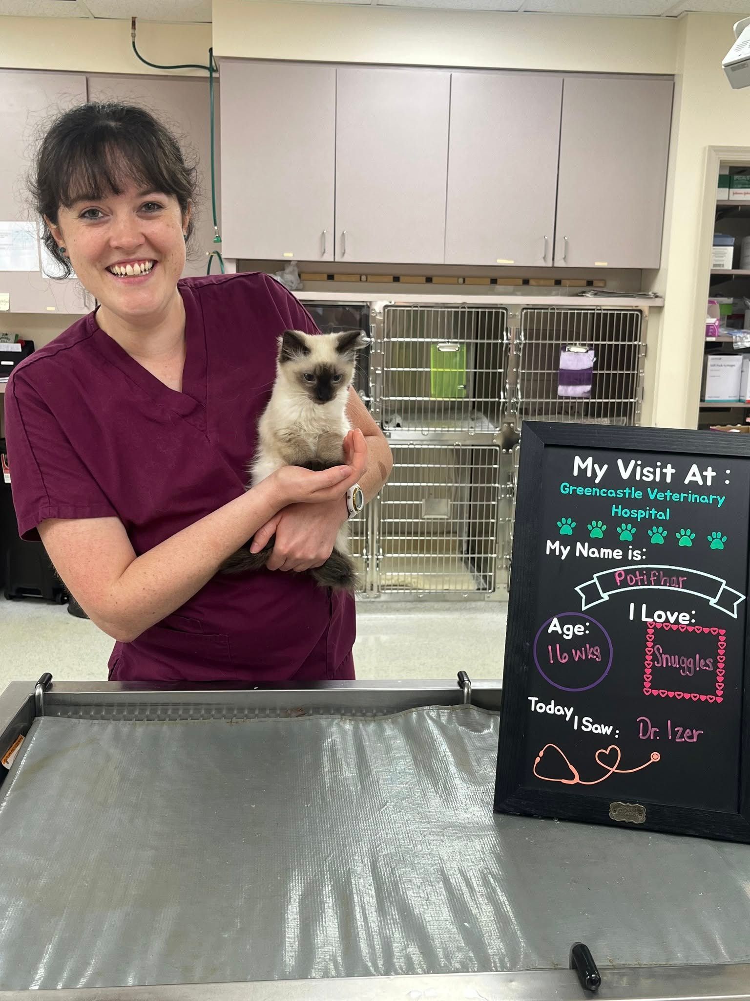 Veterinarian smiling, holding a light-colored cat, next to a chalkboard sign, in a clinic.