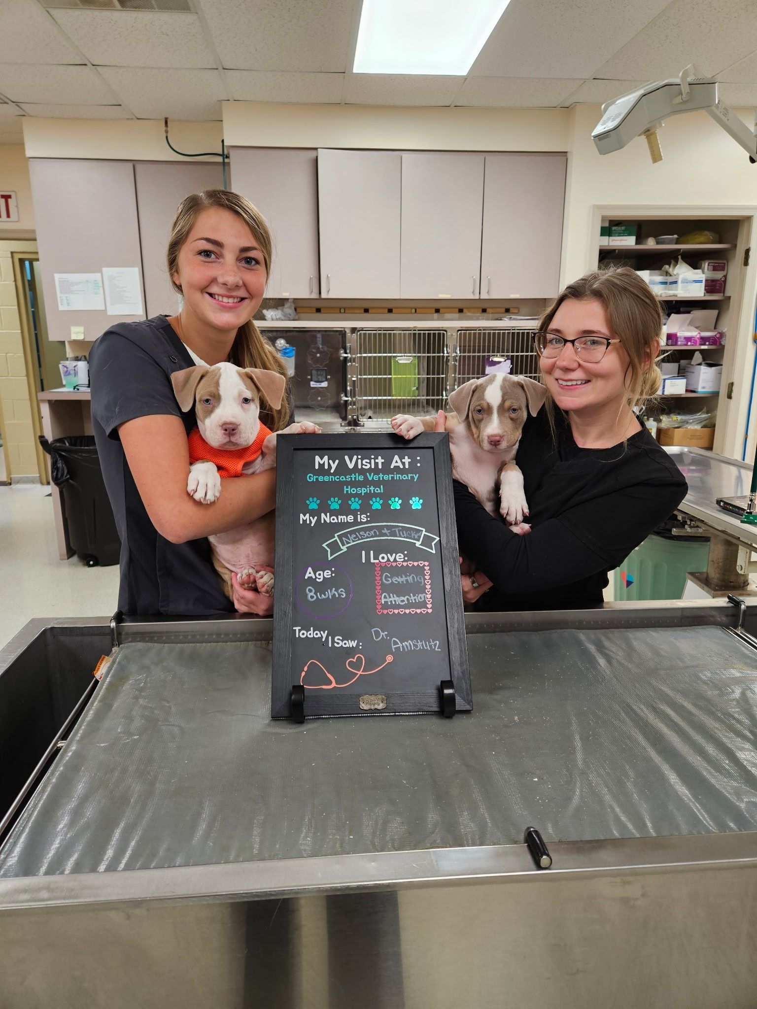 Two women hold puppies in a veterinary clinic. A sign reads 