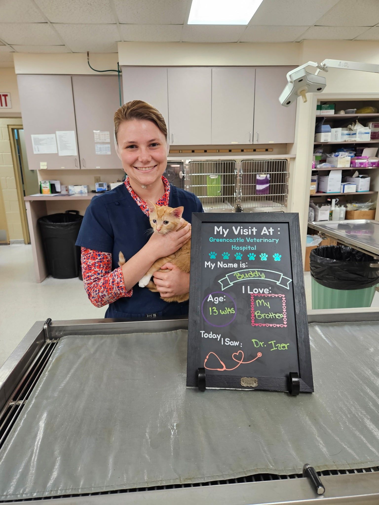 Veterinarian holding an orange cat, standing by a chalkboard sign on an exam table. Clinic setting.