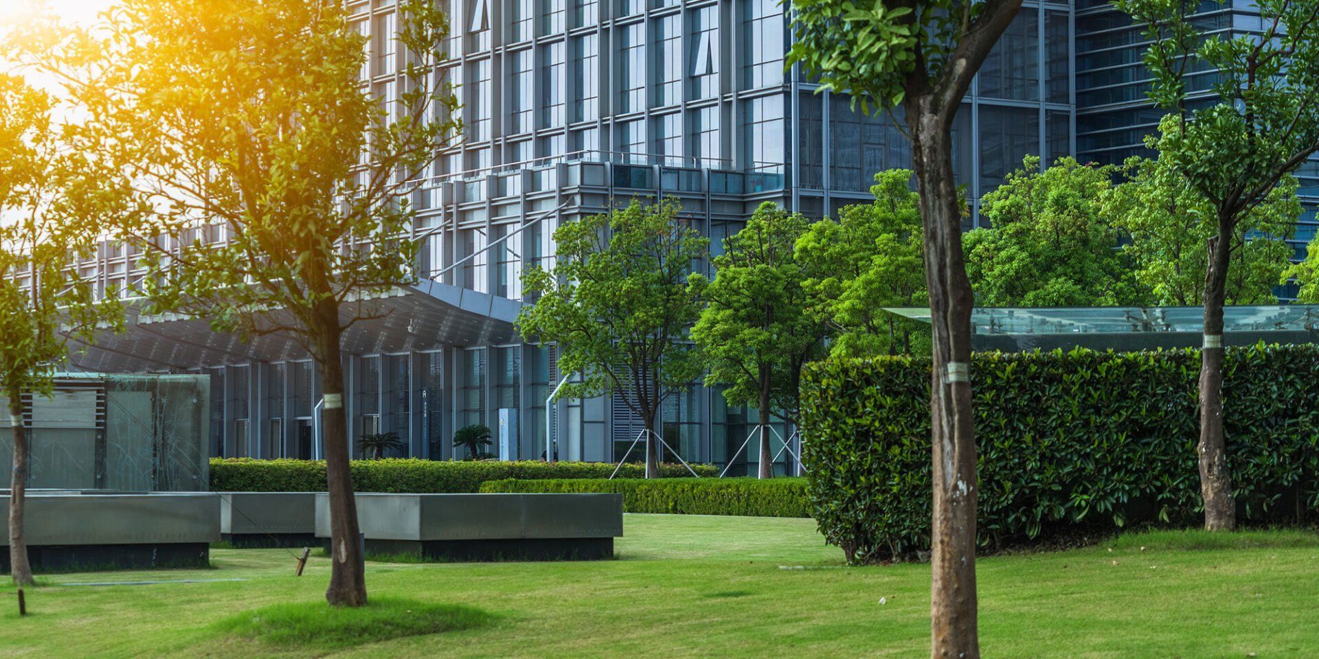 A park with trees and a building in the background.