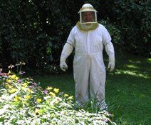 Man wearing protection gear for stinging insects