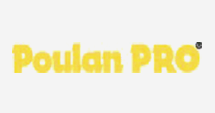 Poulan Pro