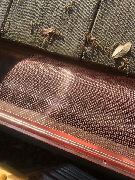 Copper gutter guard with mesh, showing leaves and debris on wooden roofing.
