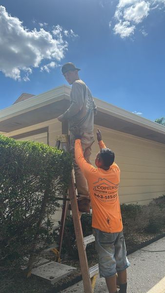 Two workers, one on a ladder, reaching for the roof. One worker supports the other from the ladder. Sunny, outdoors.