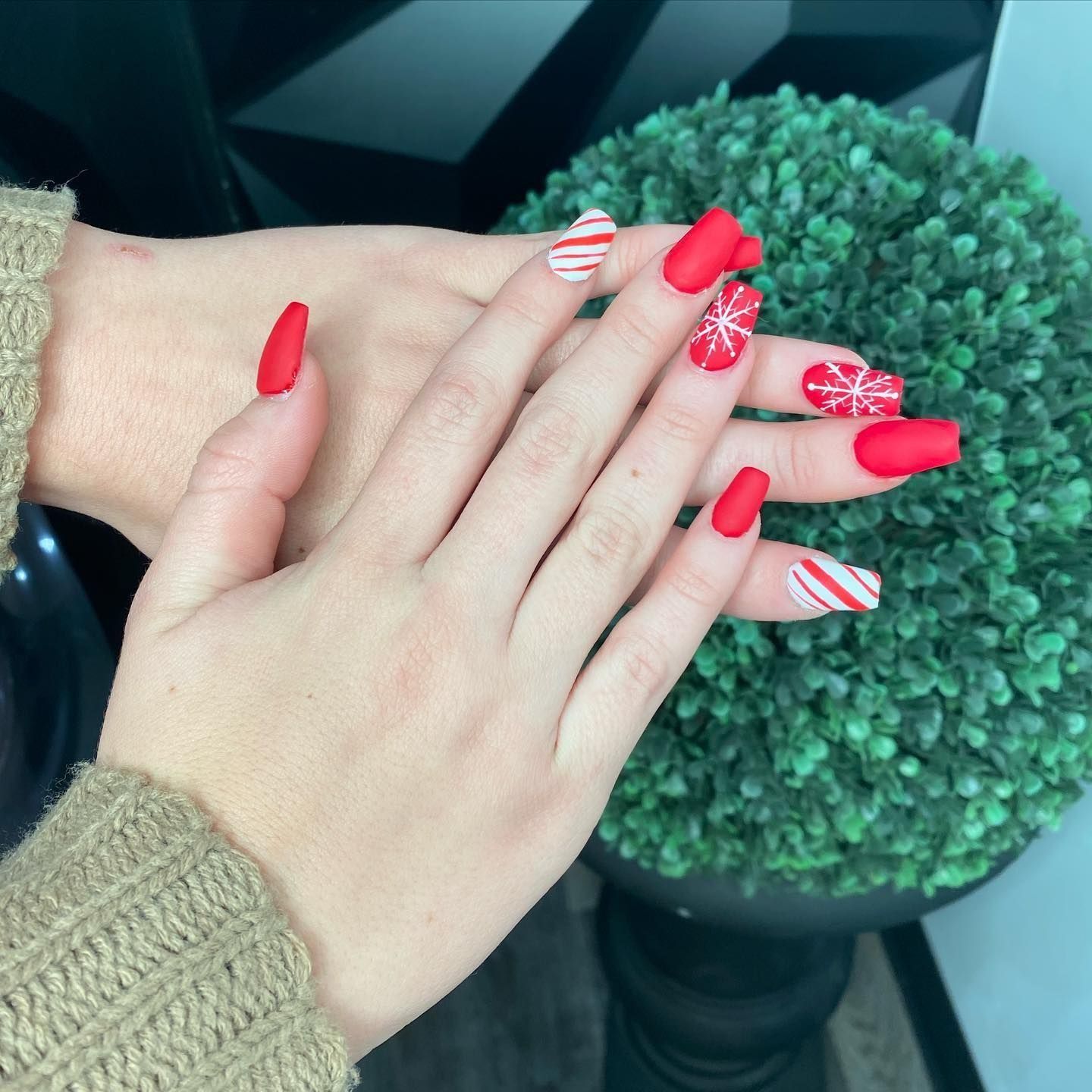 Hands with festive red and white Christmas-themed nail art, resting in front of a green plant.