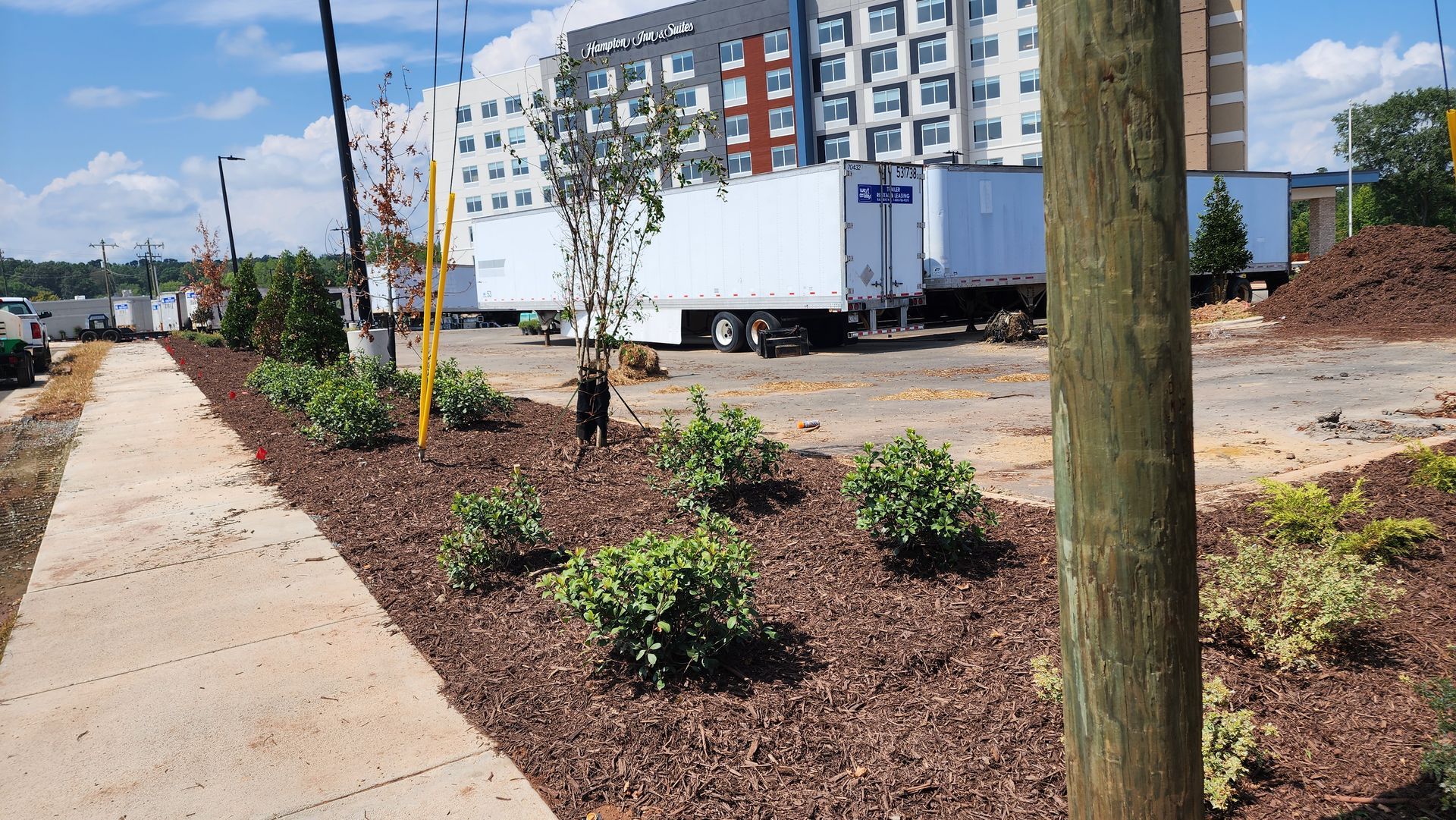 Sidewalk with mulch, small bushes, power pole, and a line of parked white trucks. Buildings in background.