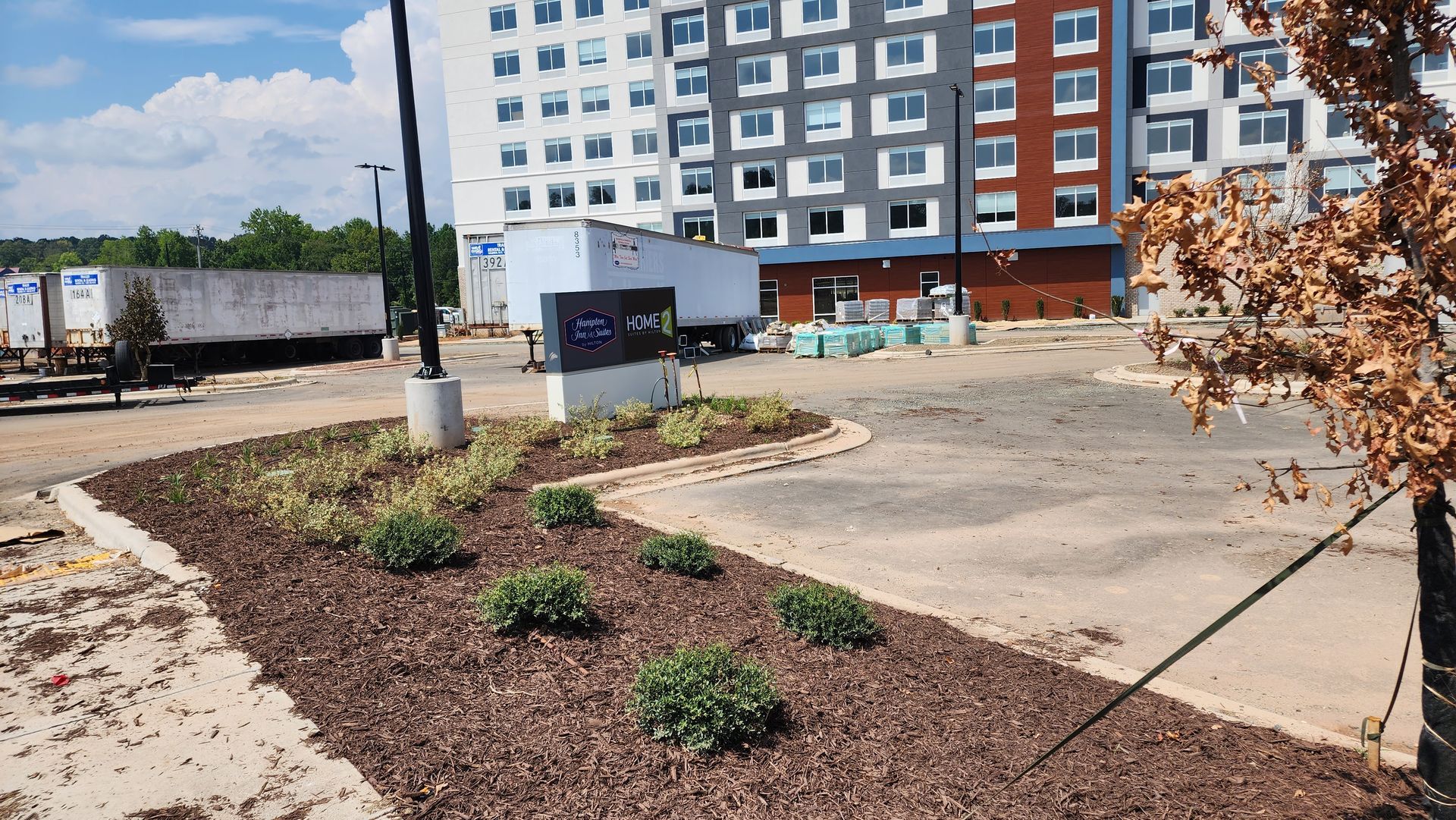 Landscaped area with shrubs and mulch in front of a modern multi-story building.