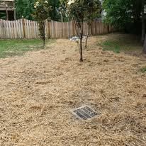 A yard covered in tan mulch with a drain cover visible; a wooden fence and trees are in the background.