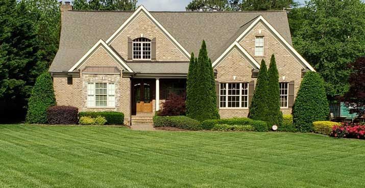 Residential landscape