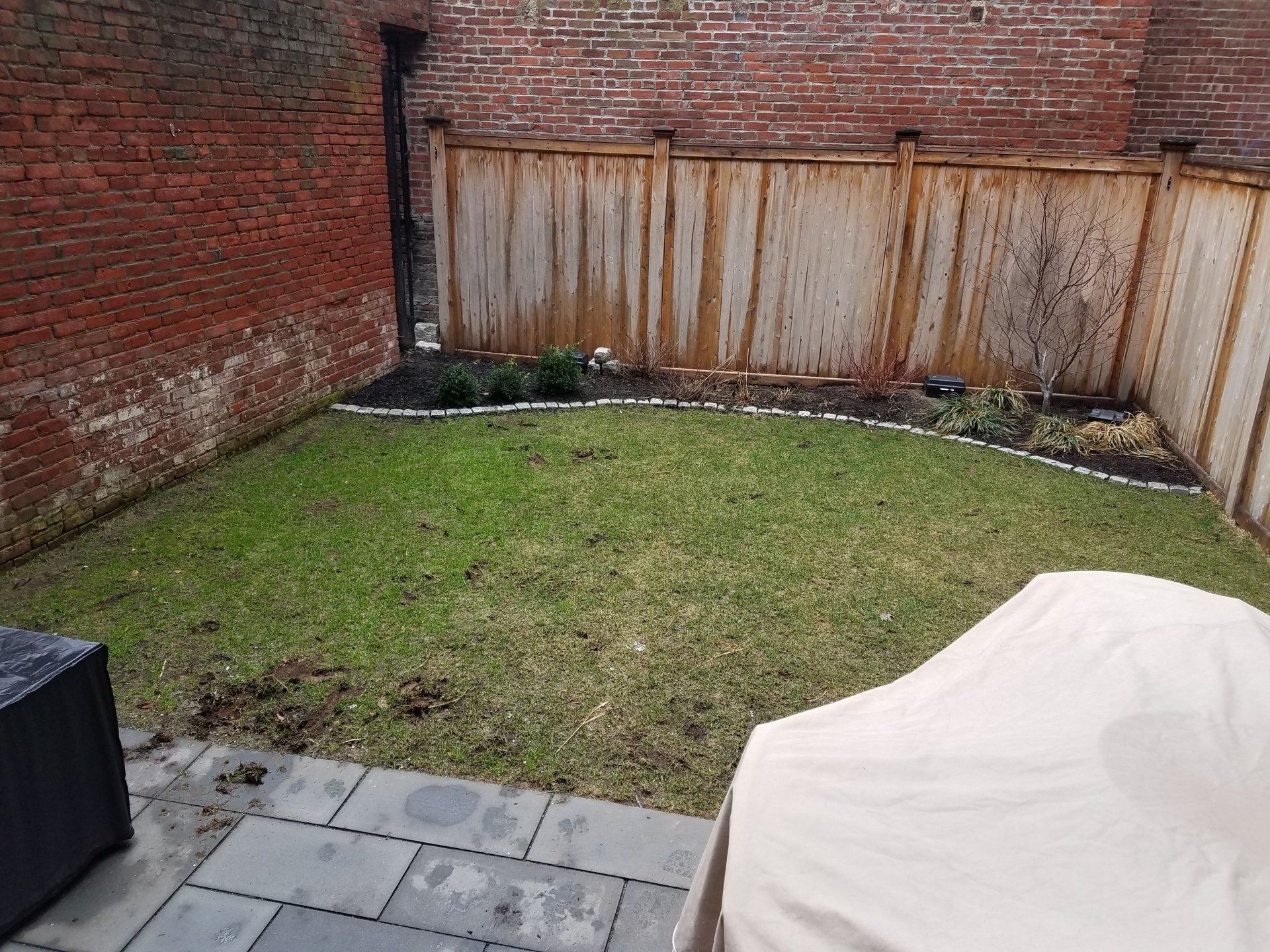 New England Synthetic Lawn Inc image