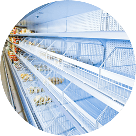 Commercial Refrigerator
