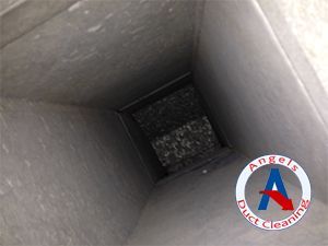Clean air duct after
