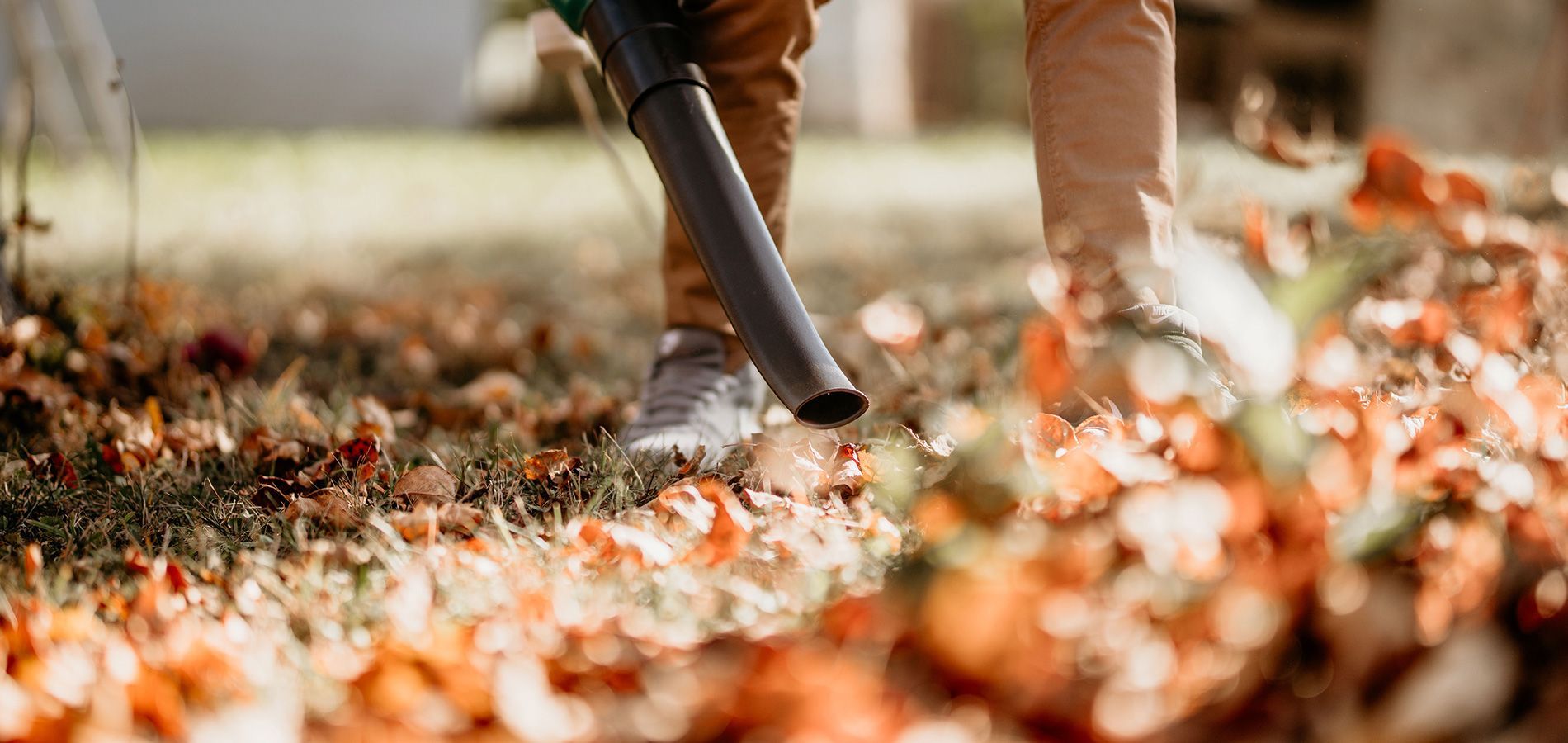 Fall cleanups