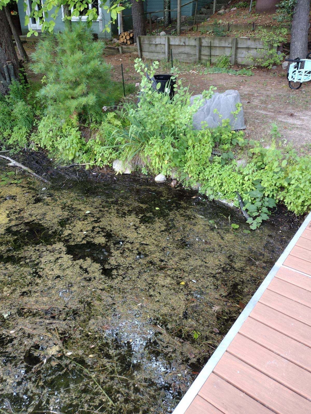 Shoreline Revetment services before