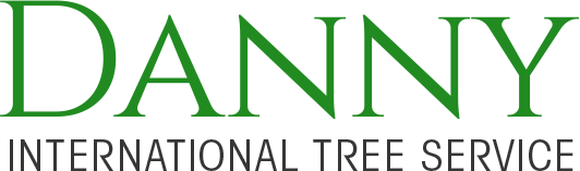 Danny International Tree Service - Logo