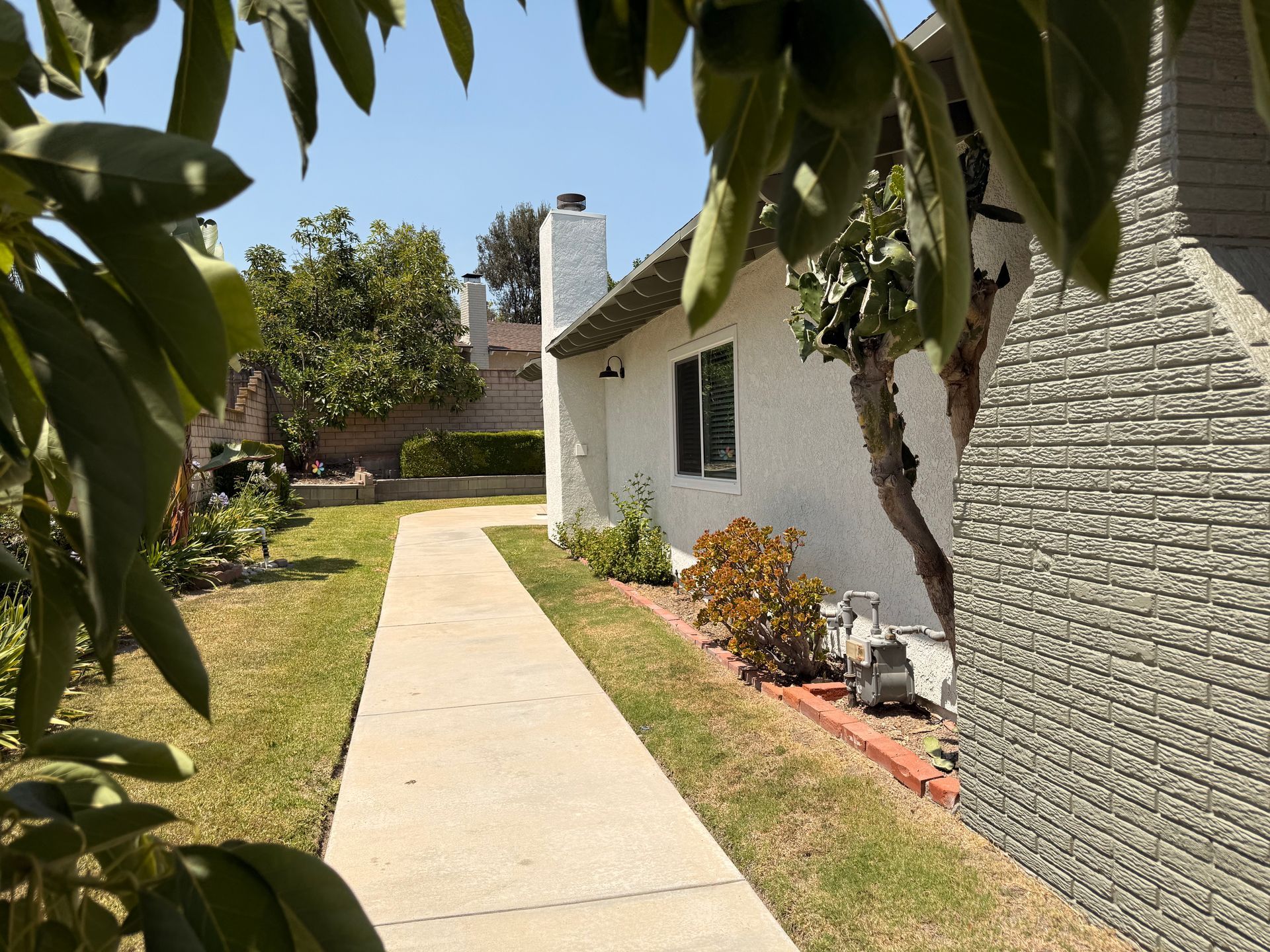 A sunny pathway leads to a white house with a chimney. Green trees and grass border the sidewalk.